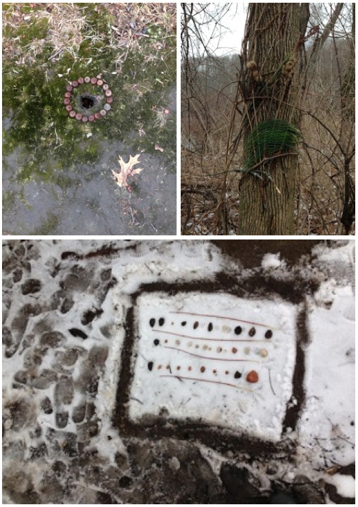 Geo Class, Art in Nature Collage, April 2015